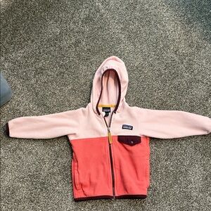 Patagonia Two-Tone Hooded Fleece Jacket